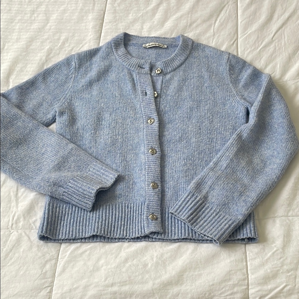 Abercrombie & Fitch Light Blue Cardigan